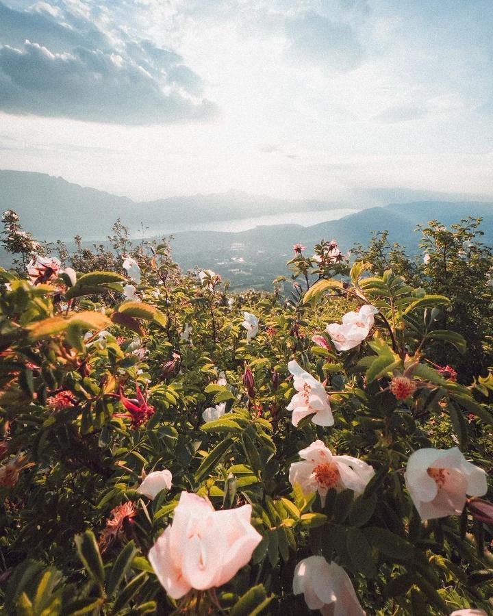 O Lac Tresserve Dış mekan fotoğraf